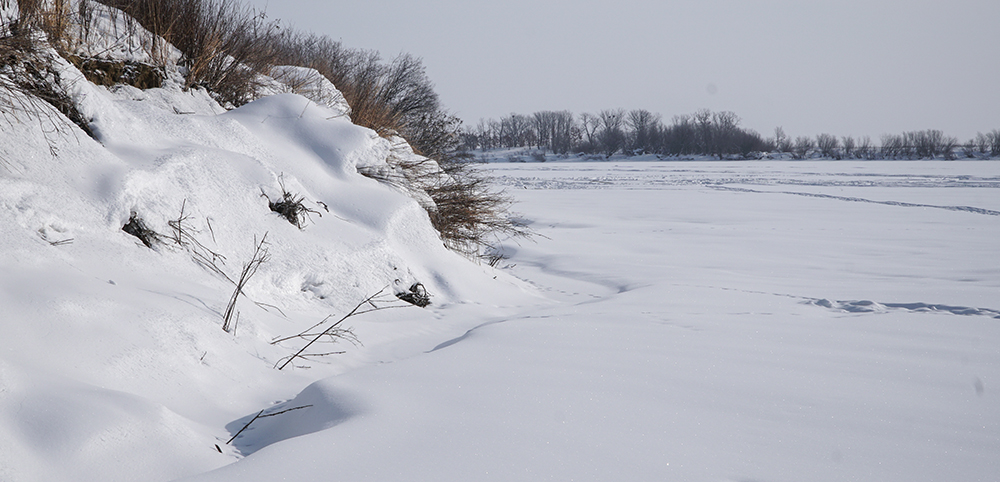 DSC01074_1000.jpg
