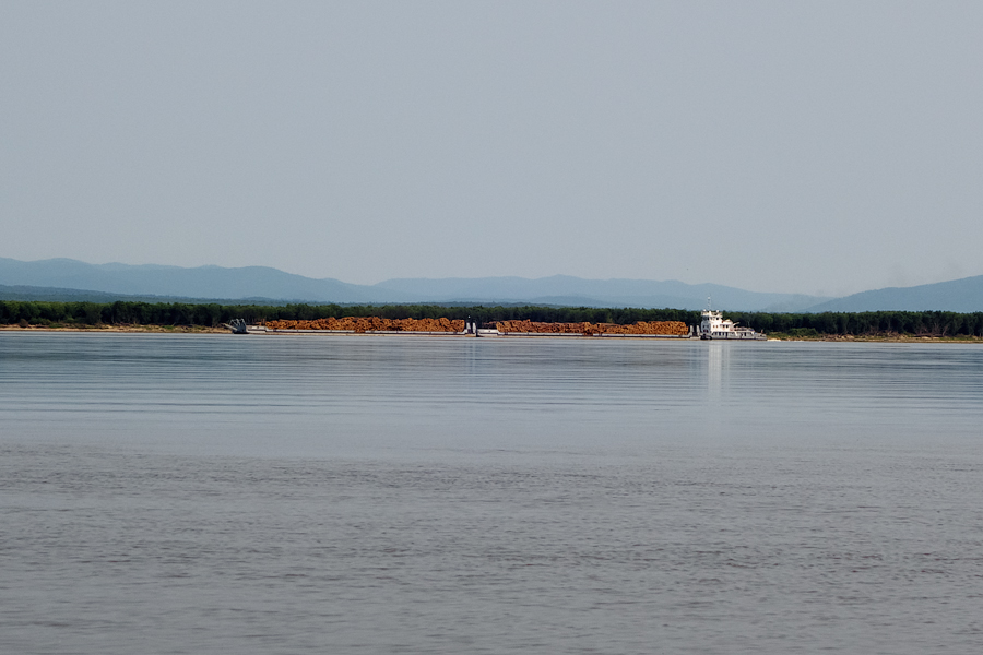 DSC01075.jpg