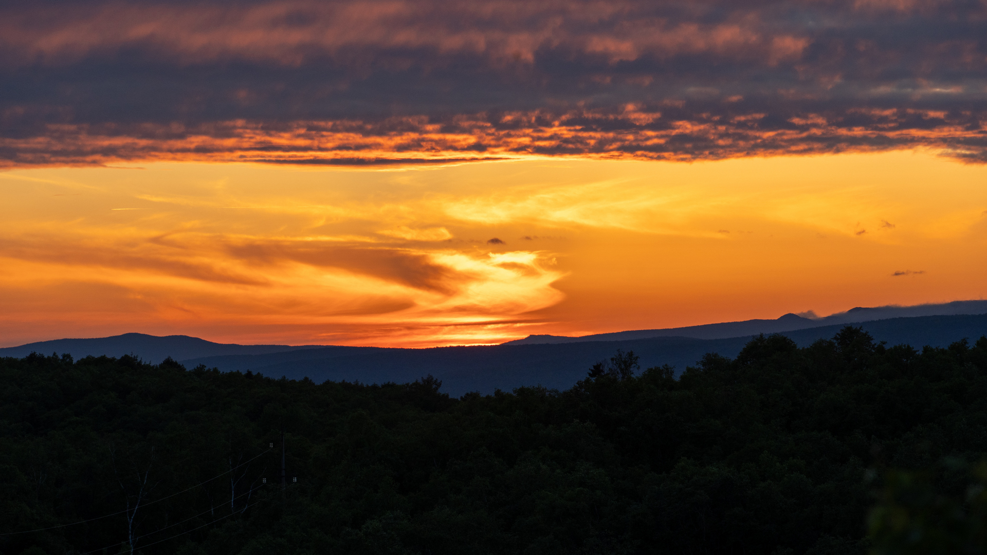 DSC01096-1.jpg