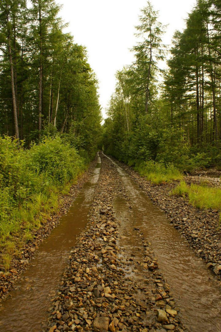 DSC01100.JPG