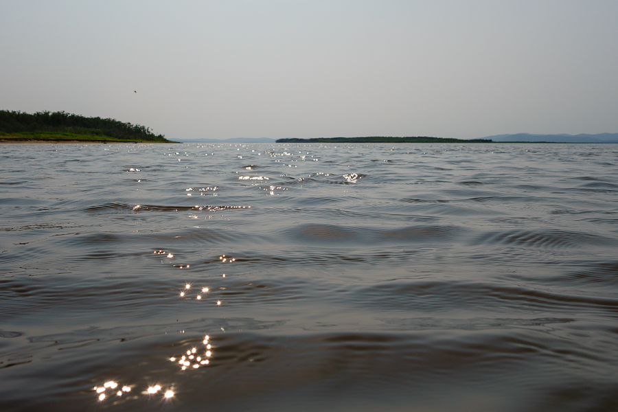 DSC01111.jpg