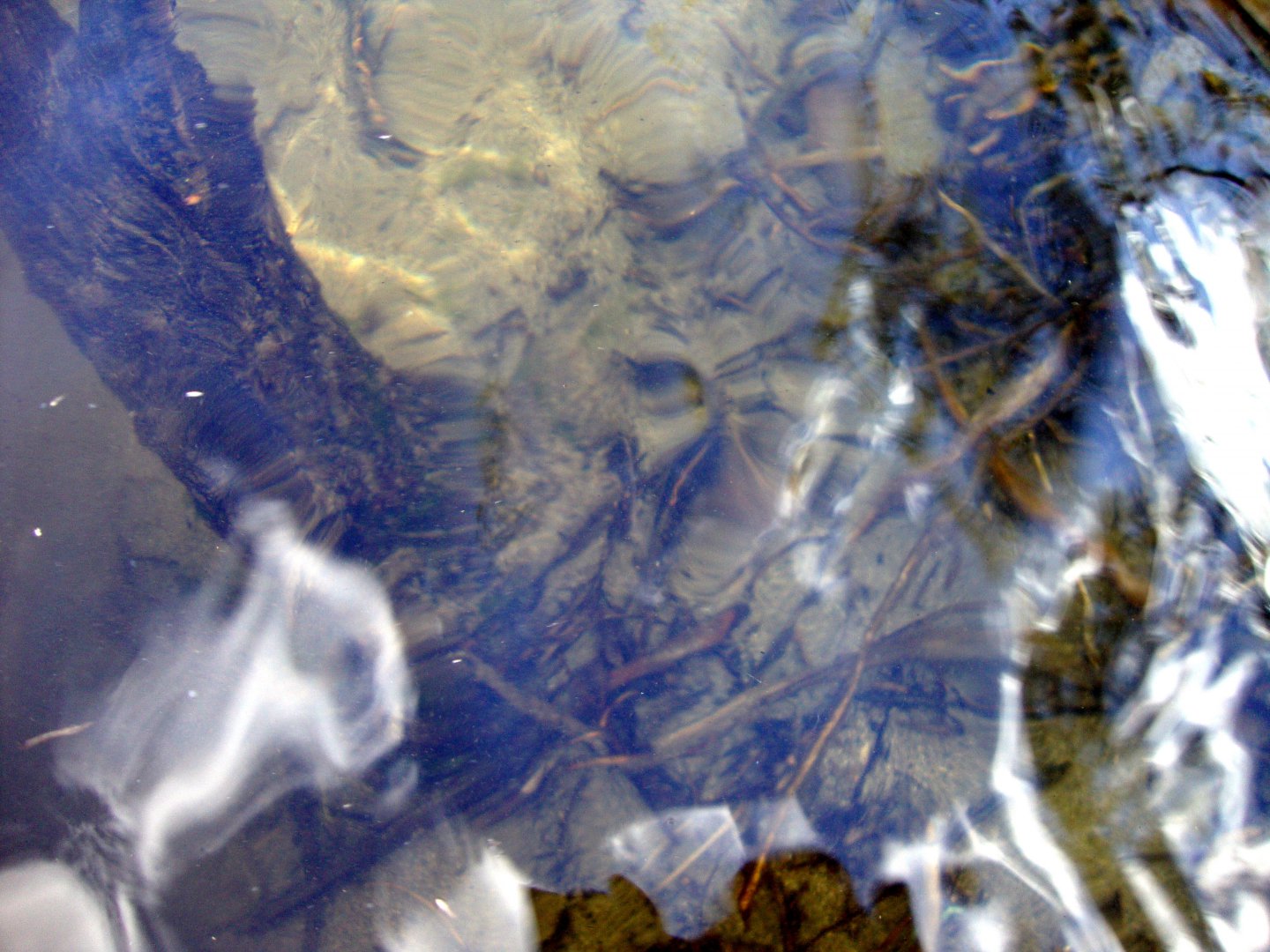 DSC01137.JPG
