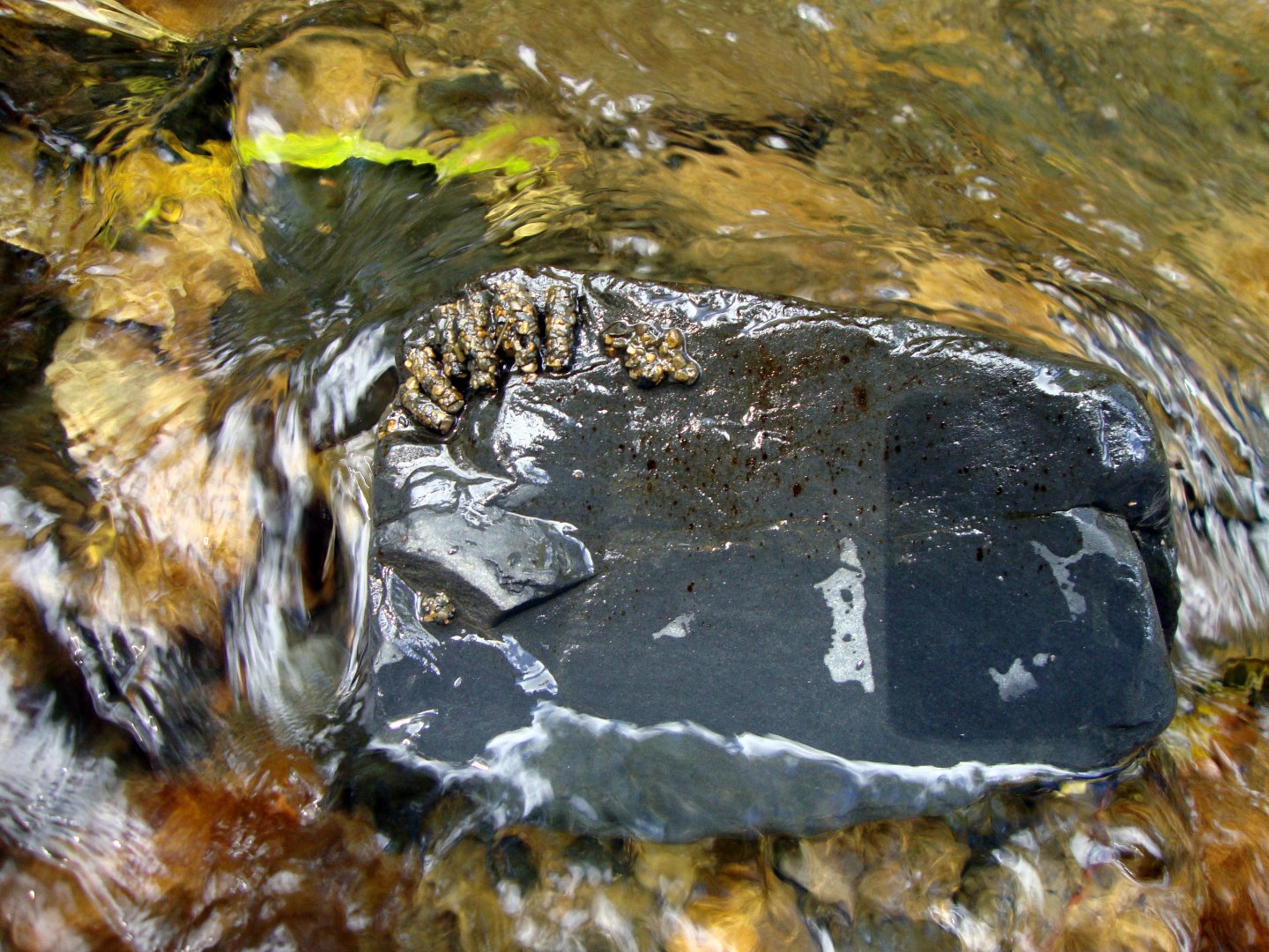 DSC01139.JPG