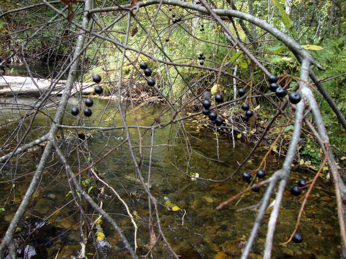 DSC01143.JPG