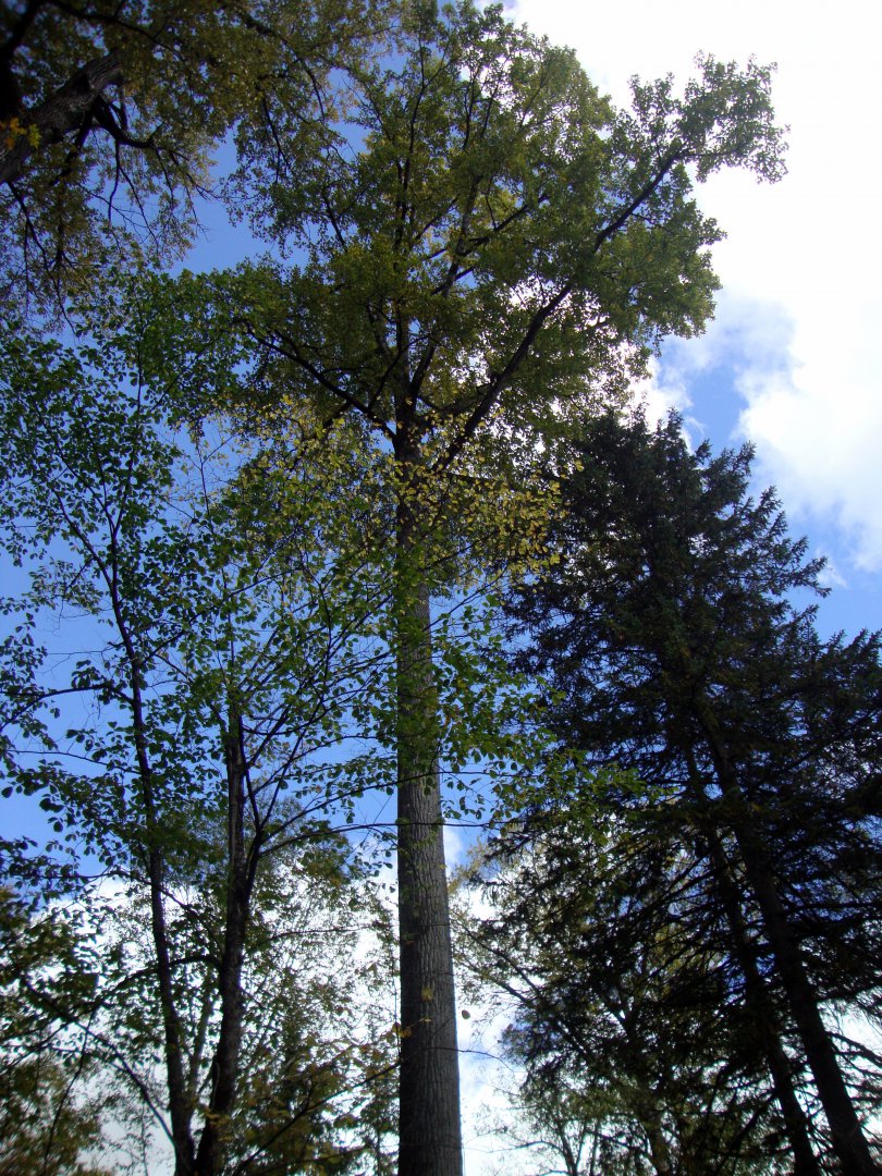DSC01144.JPG