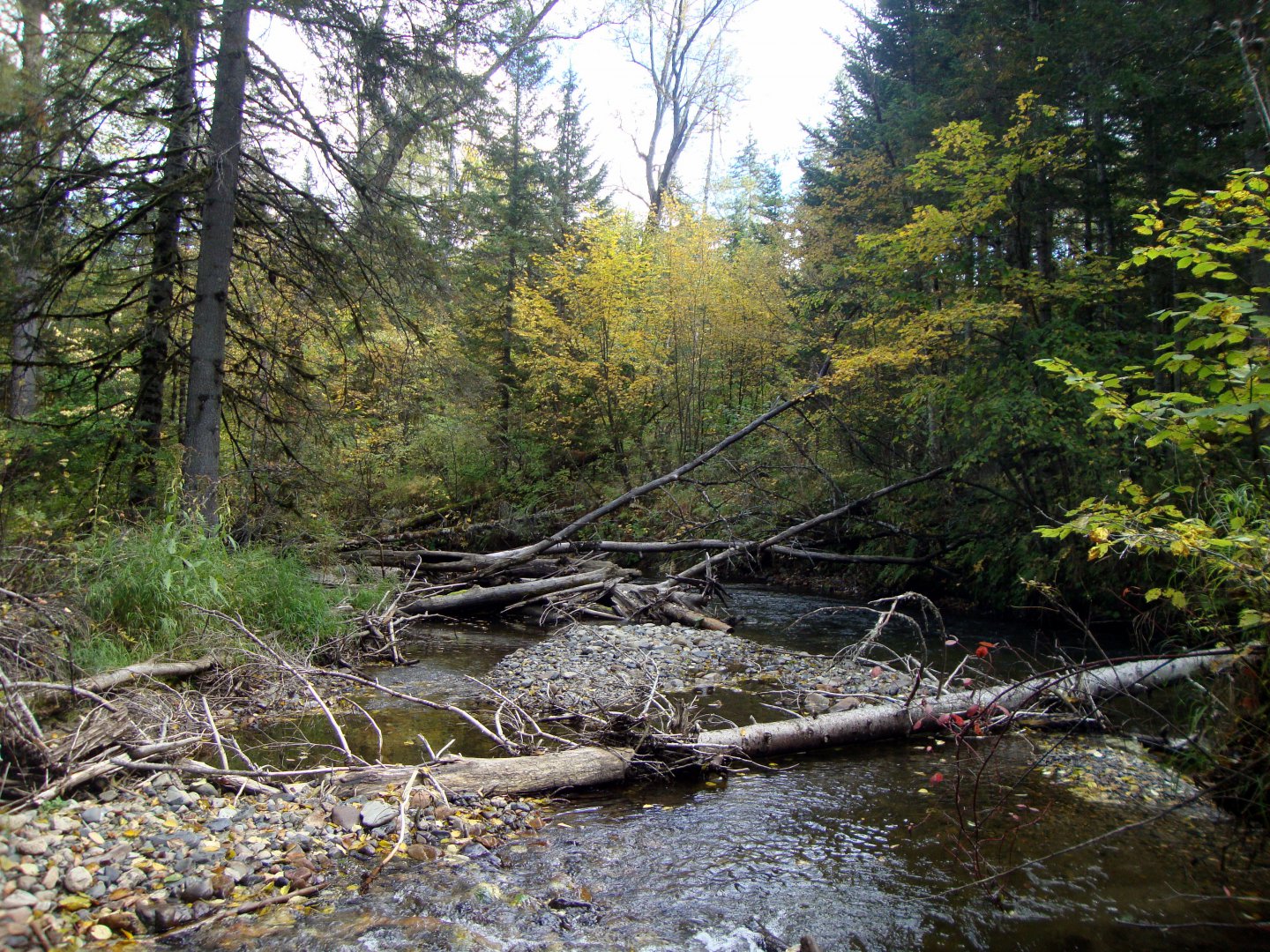 DSC01145.JPG