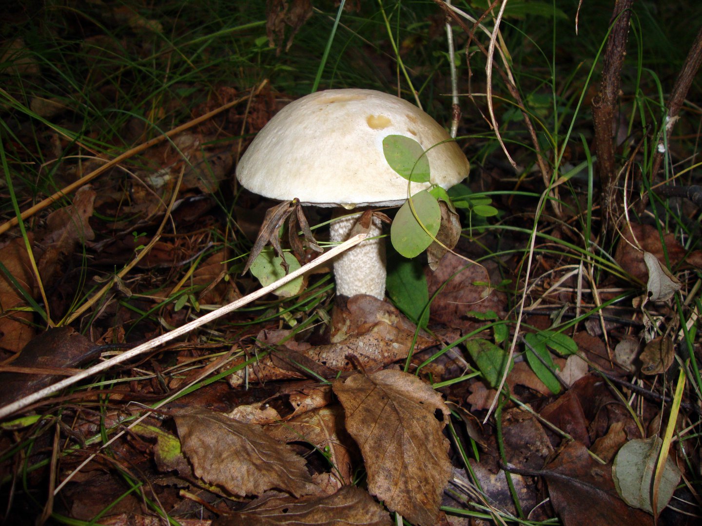 DSC01164.JPG