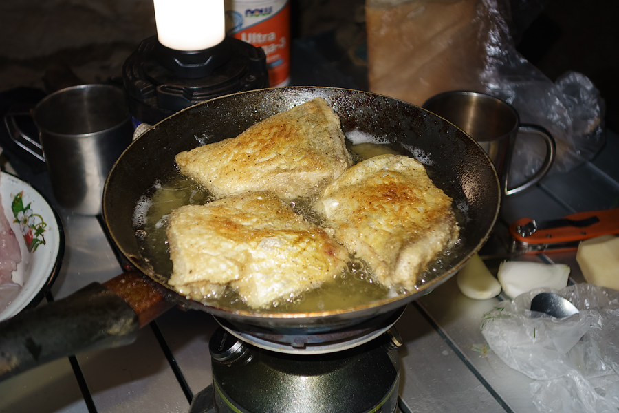 DSC01179.jpg