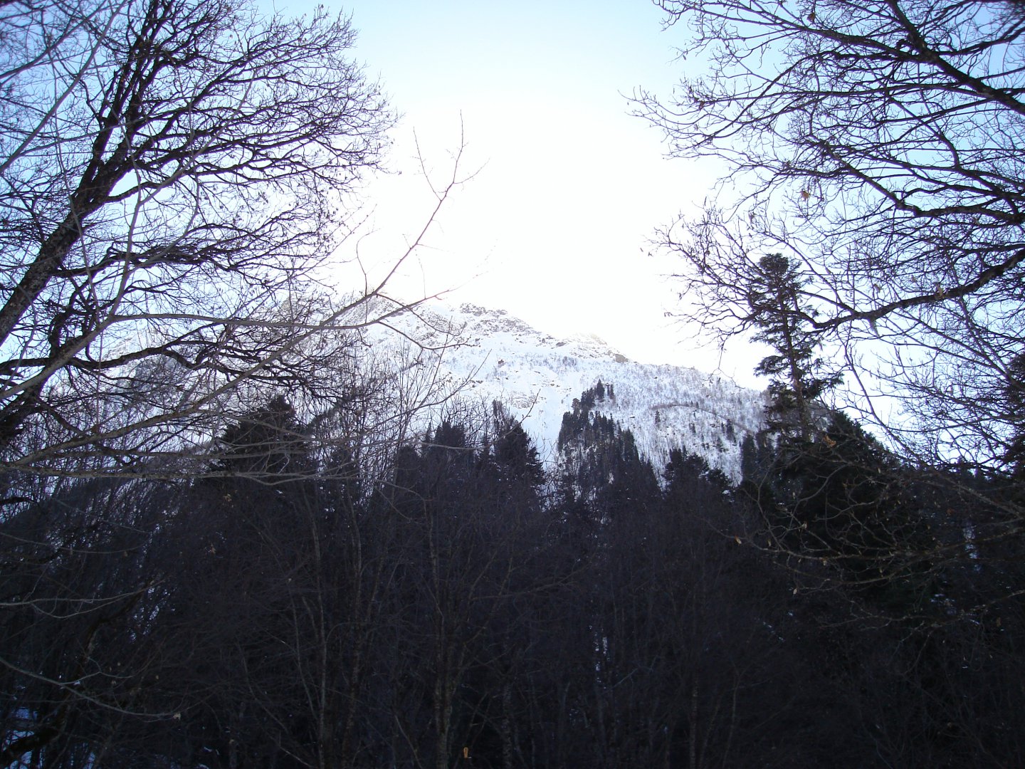 DSC01182.JPG