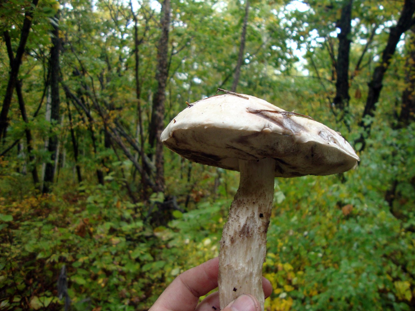 DSC01209.JPG