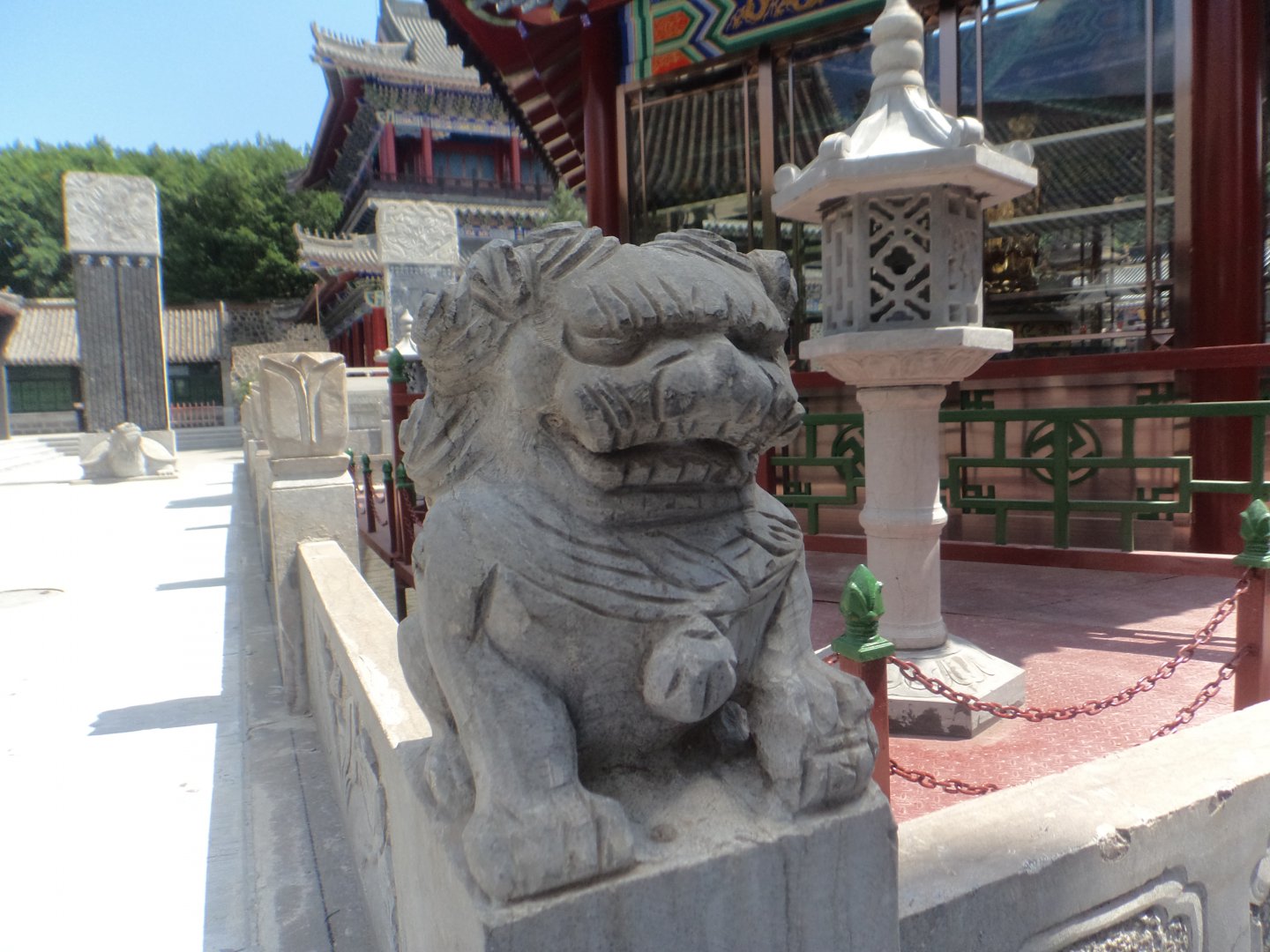 DSC01233.JPG