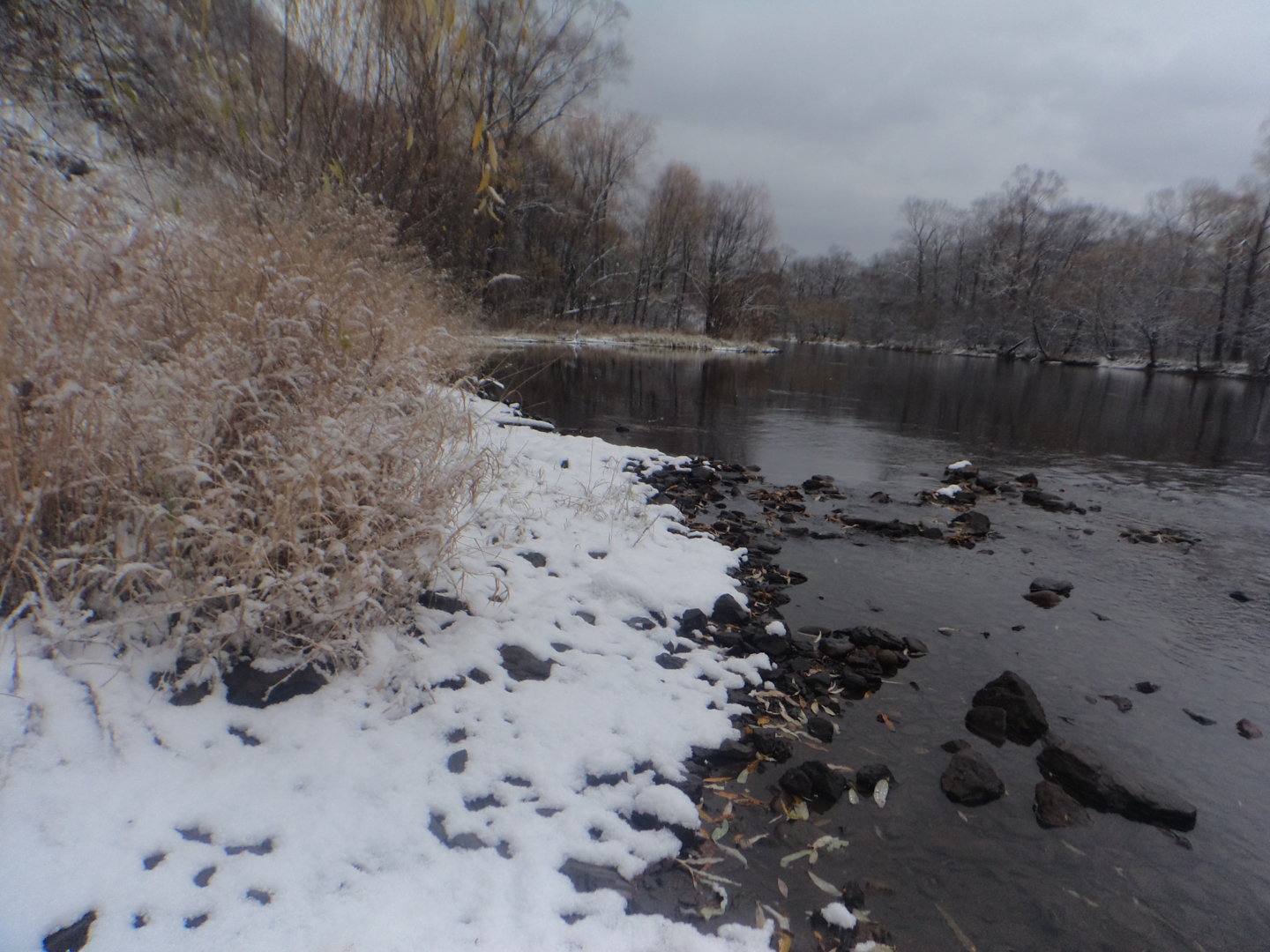 DSC01250.JPG