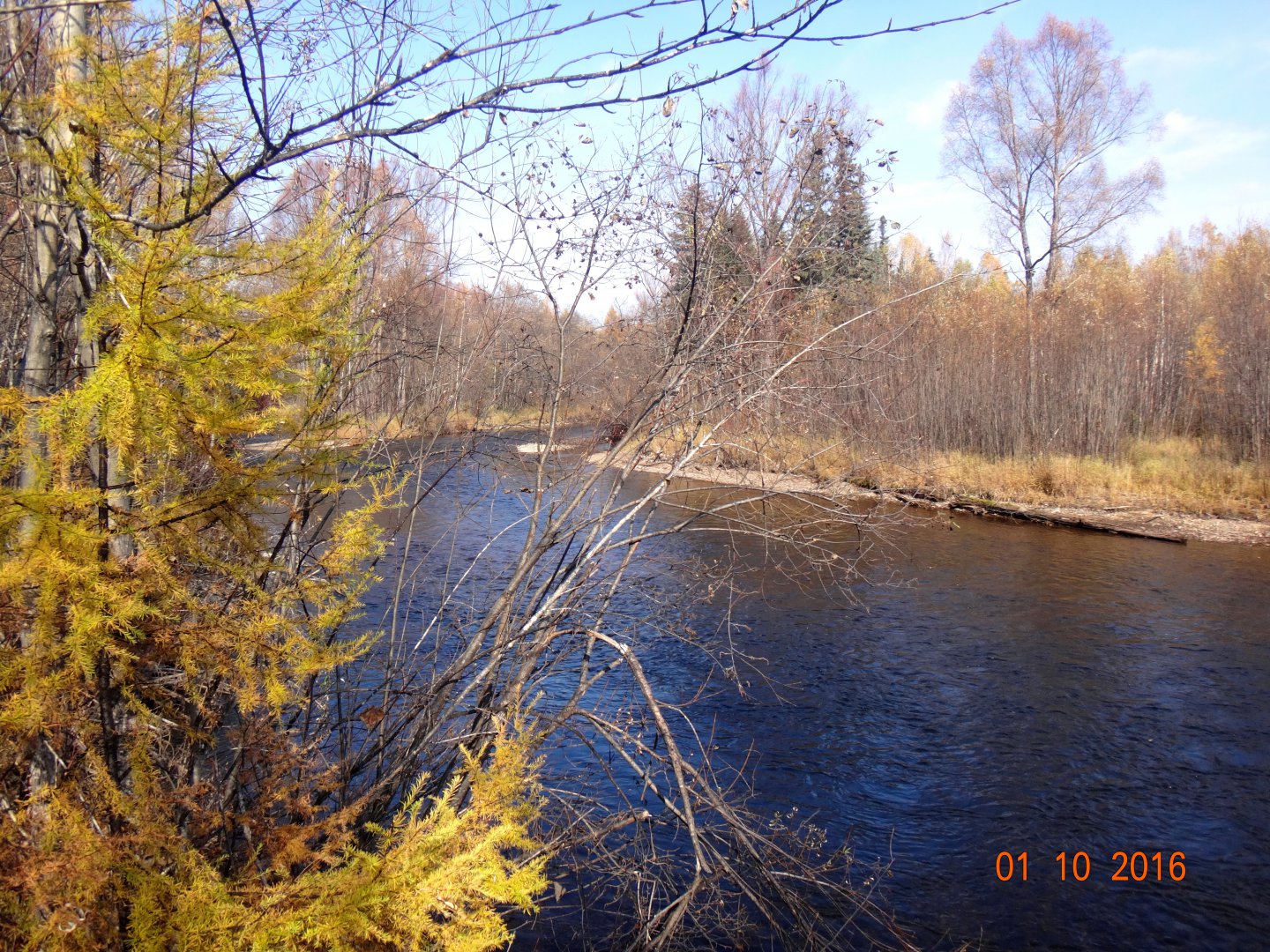 DSC01261.JPG