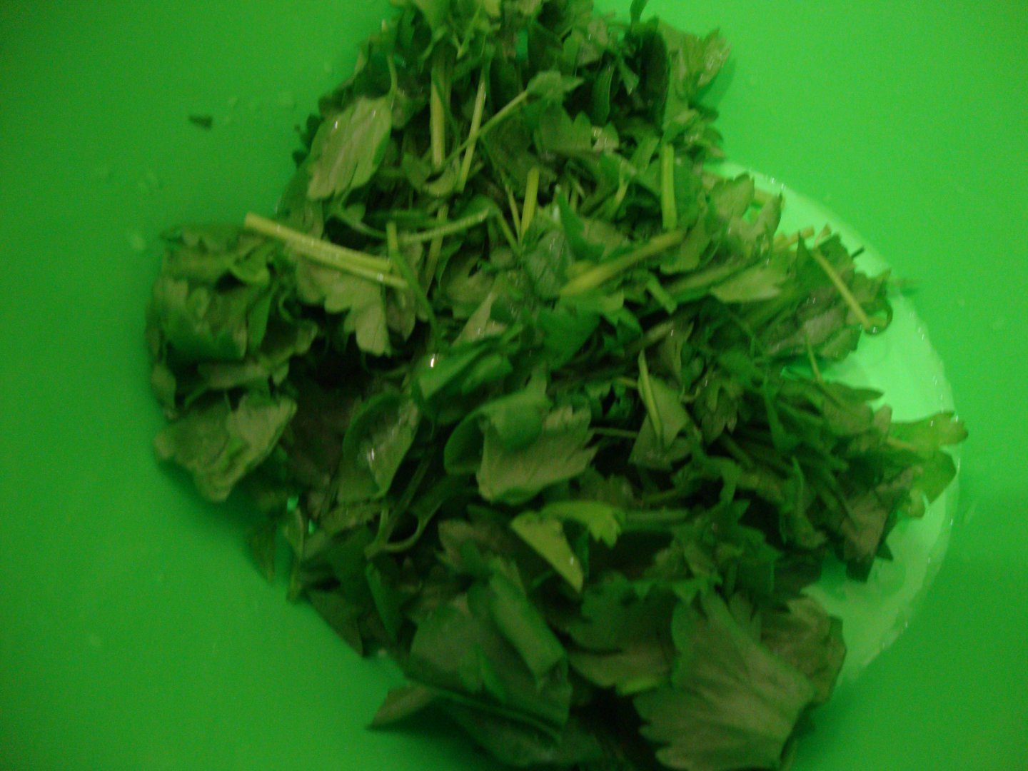 DSC01273.JPG