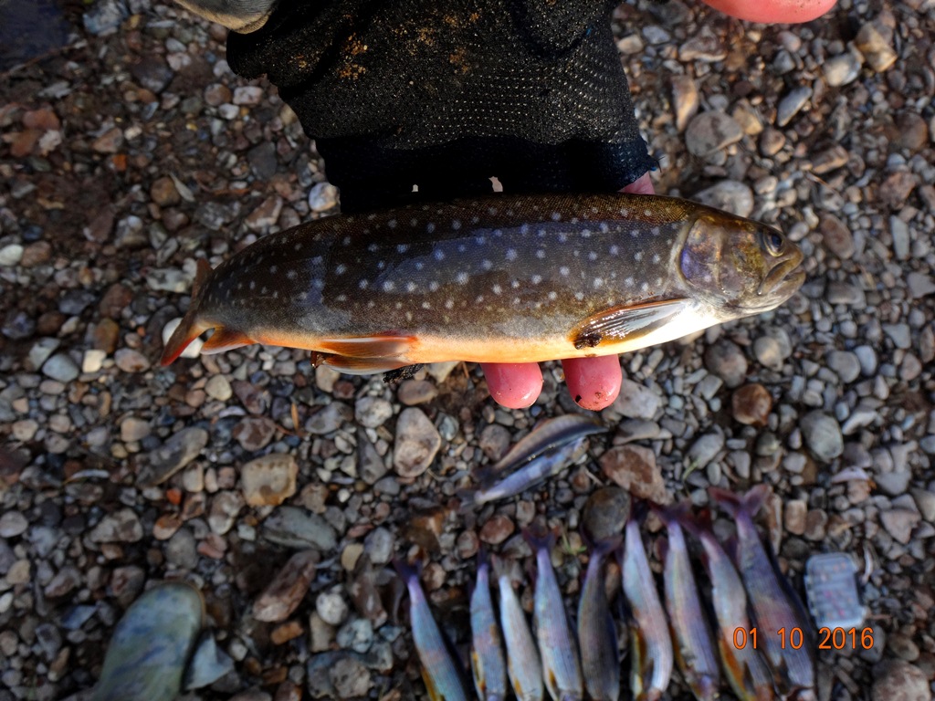 DSC01285.JPG
