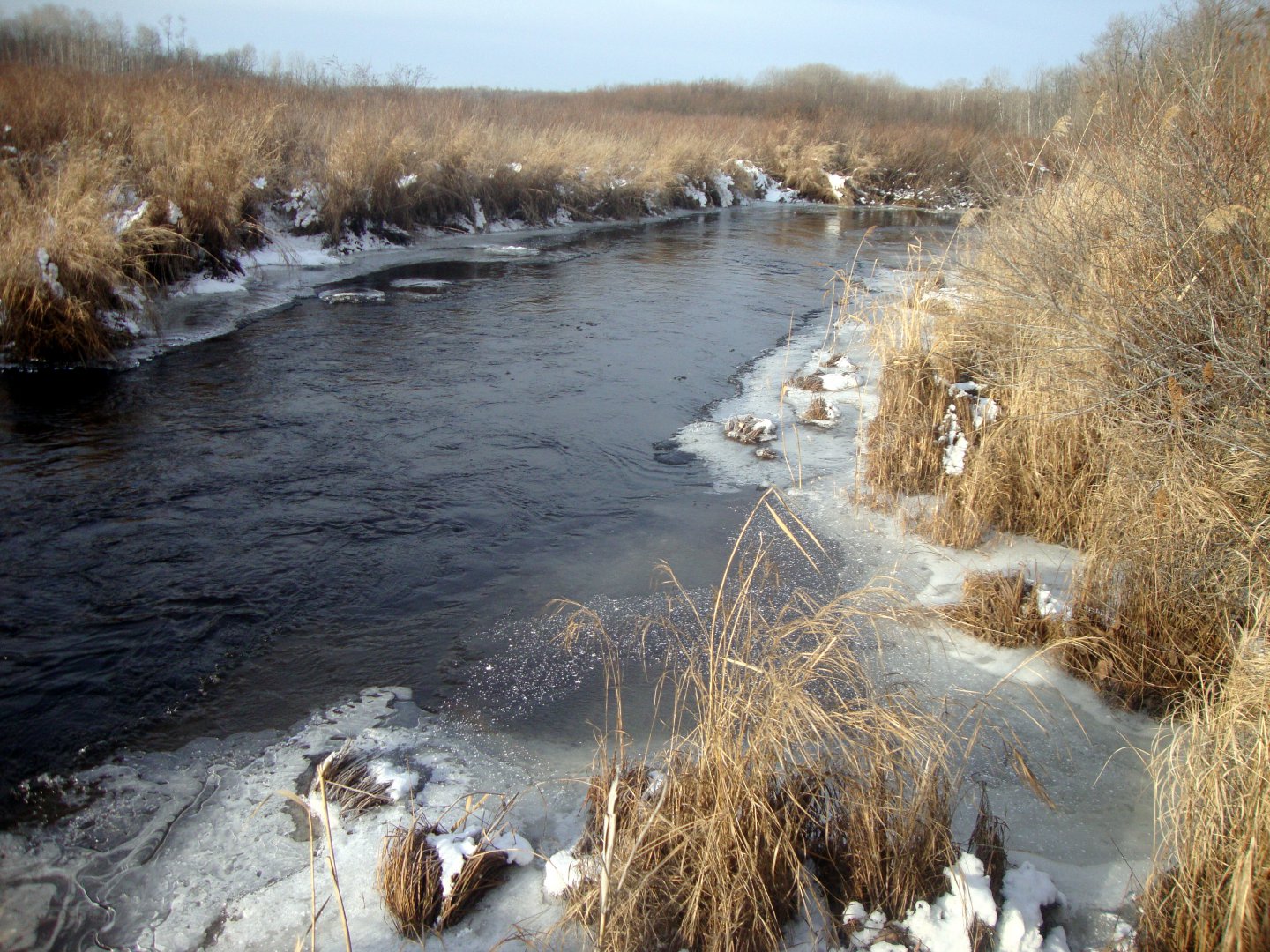 DSC01305.JPG