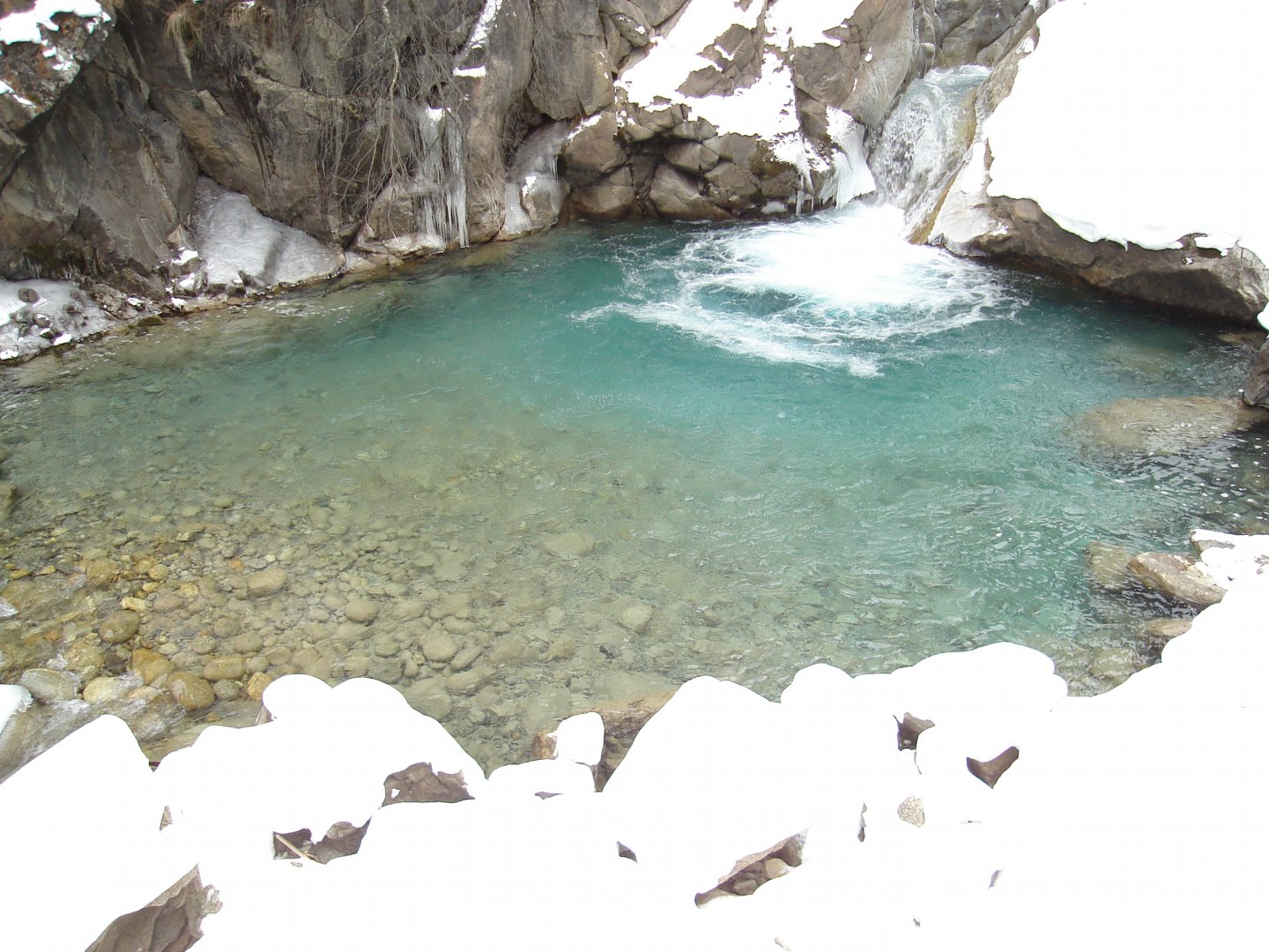 DSC01313.JPG