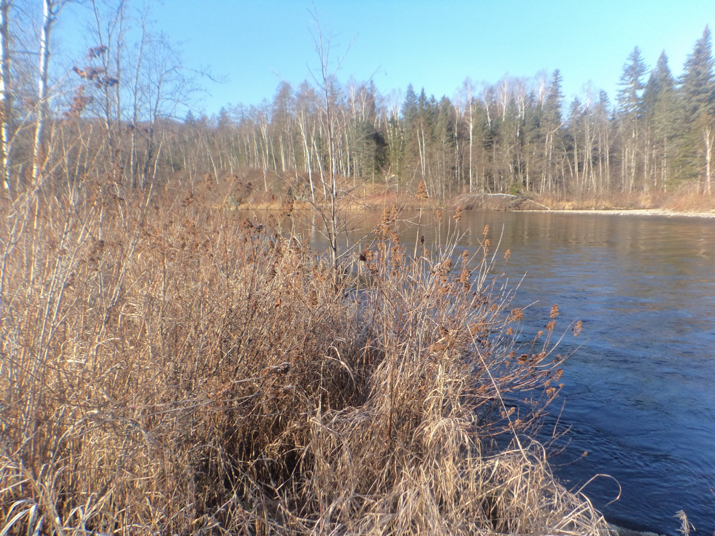 DSC01314.JPG