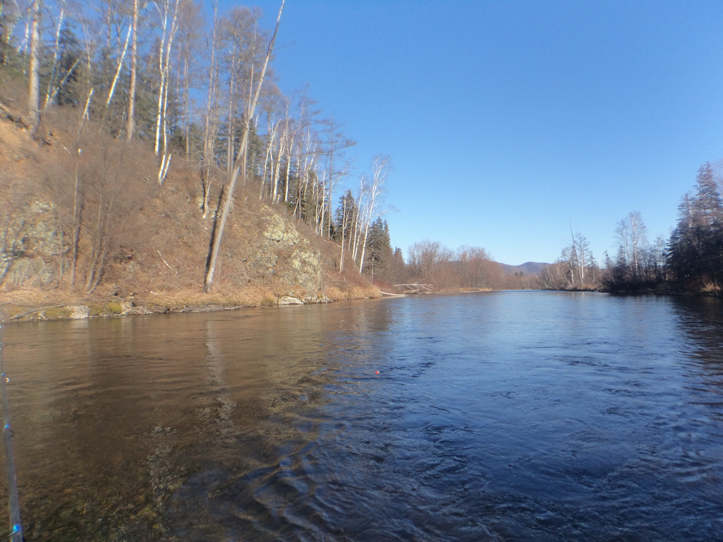 DSC01321.JPG