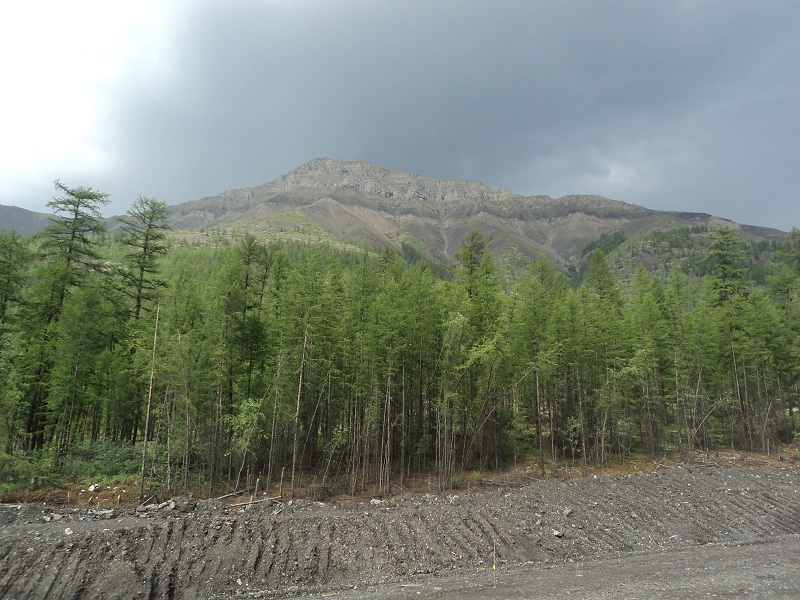 DSC01345.JPG