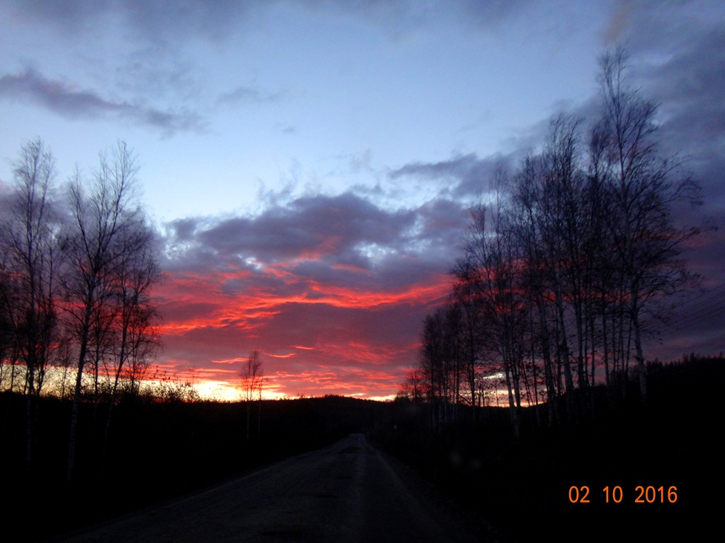DSC01360.JPG