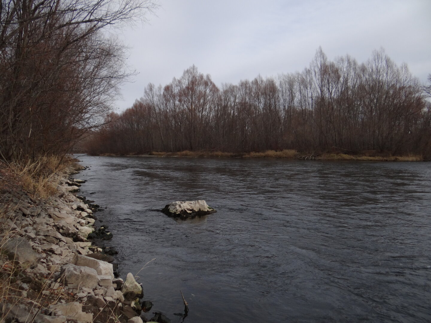 DSC01364.JPG