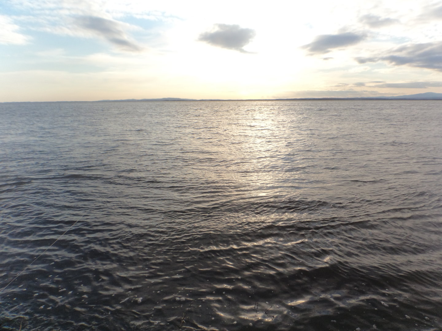 DSC01409.JPG