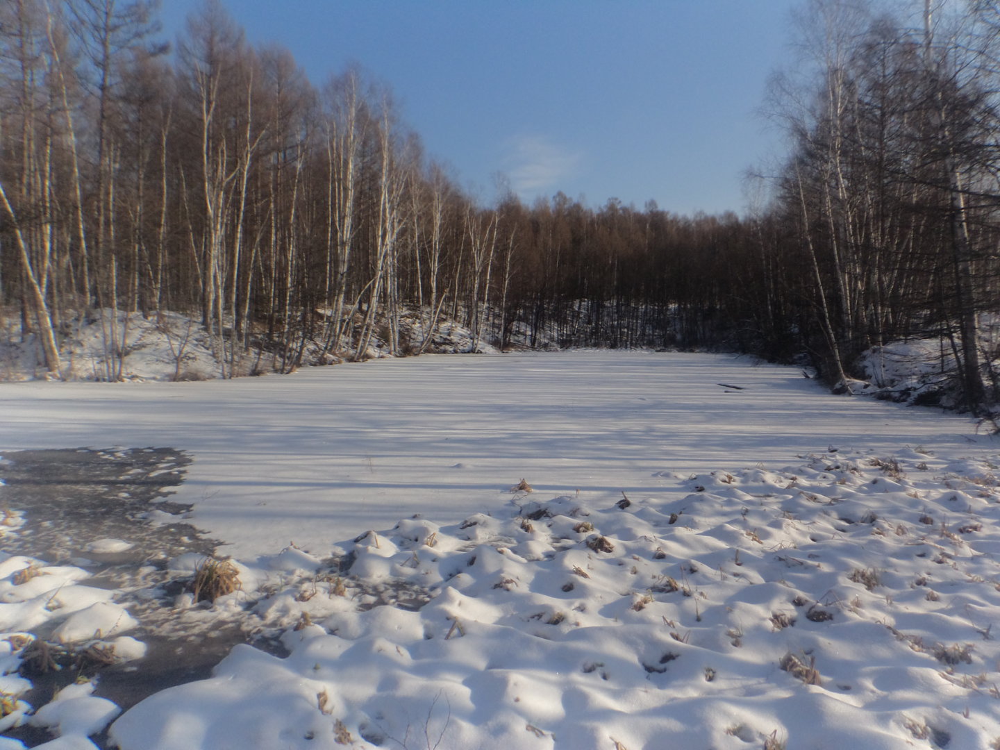 DSC01418.JPG