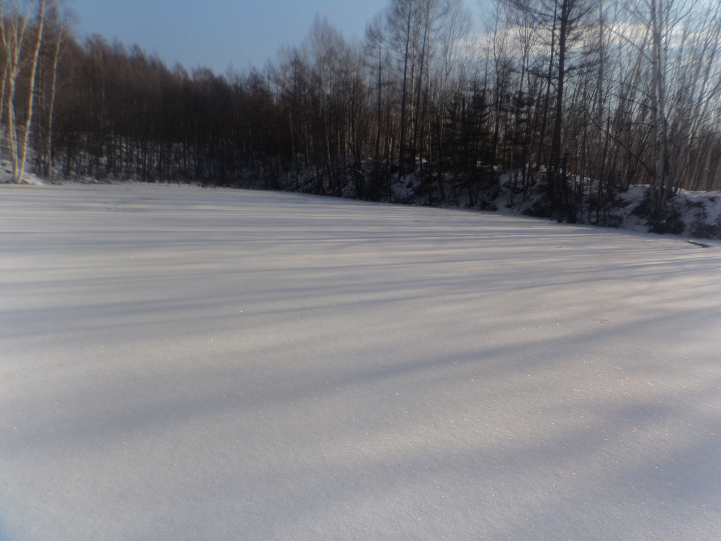 DSC01429.JPG