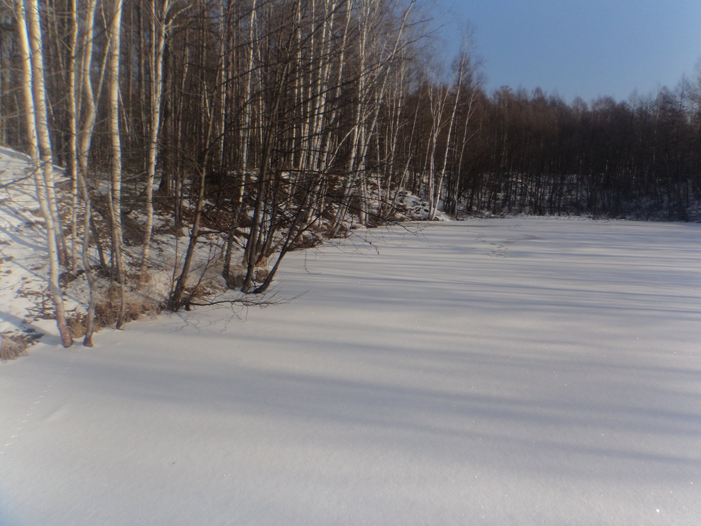 DSC01430.JPG