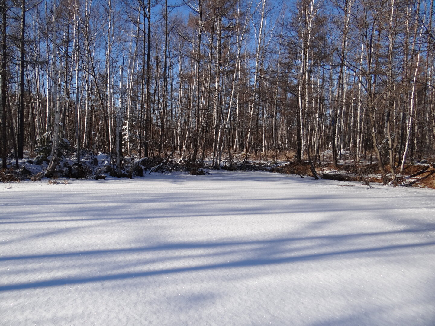DSC01474.JPG