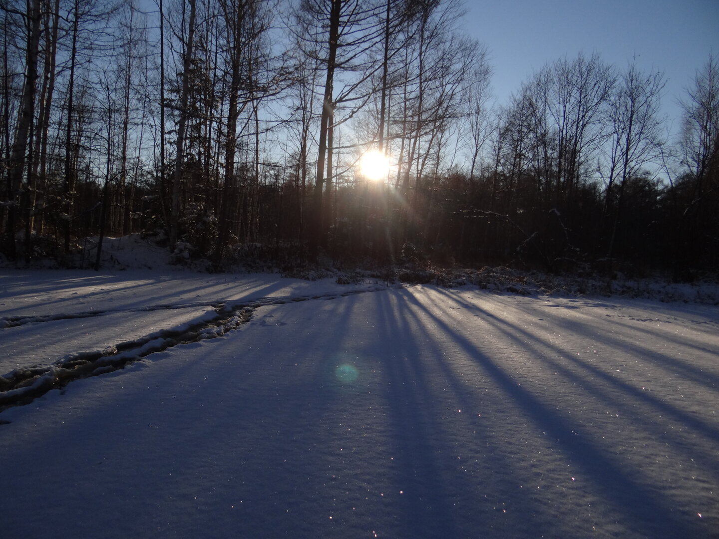 DSC01485.JPG