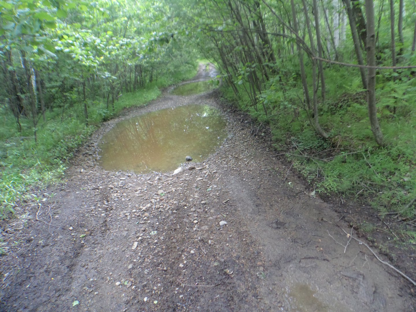 DSC01504.JPG