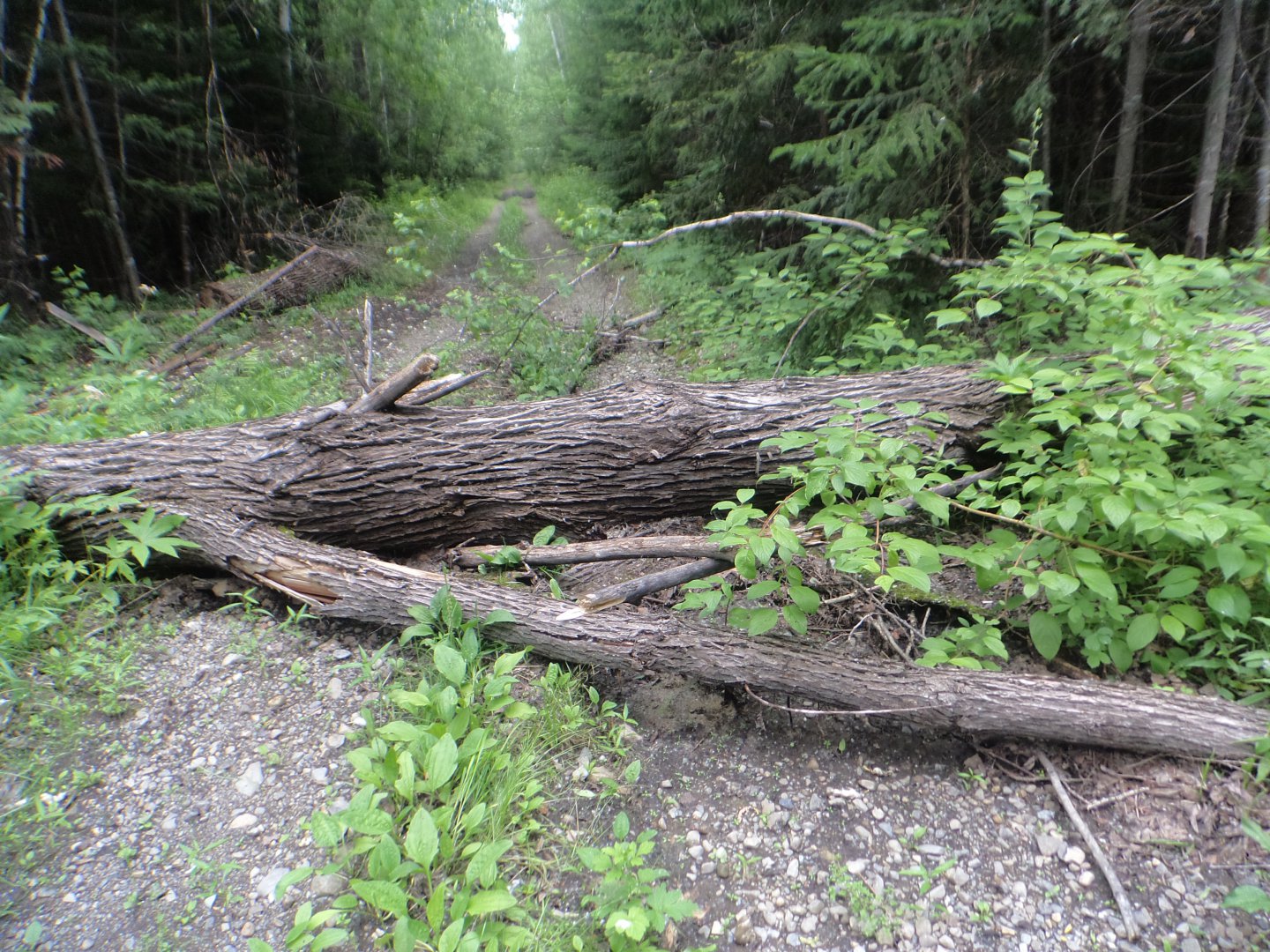 DSC01505.JPG