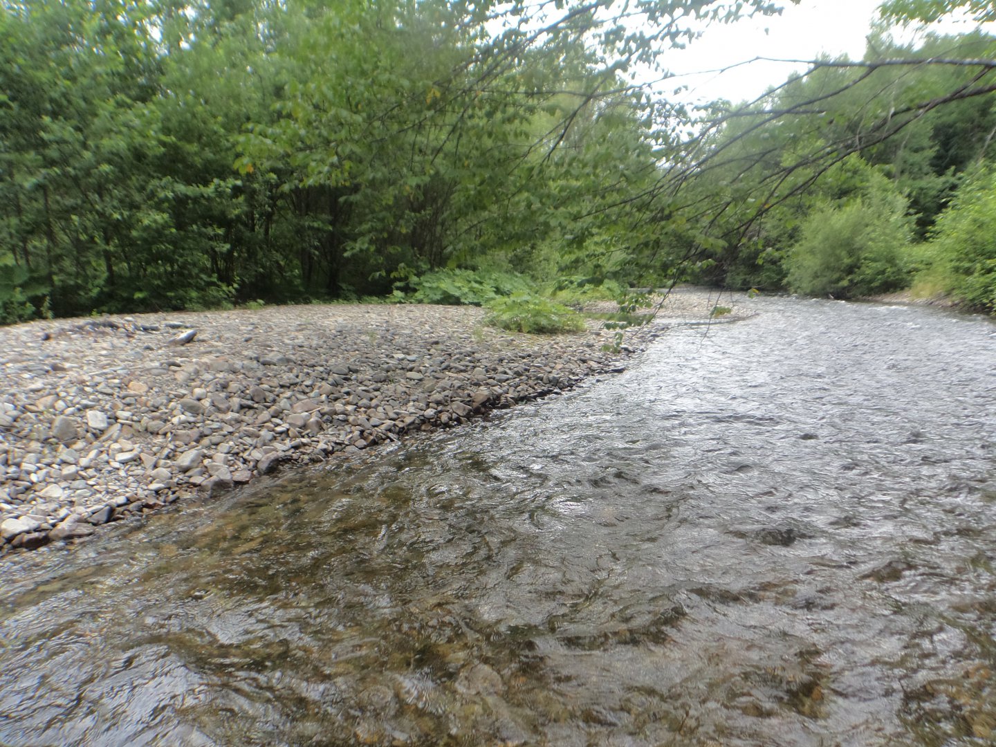 DSC01507.JPG