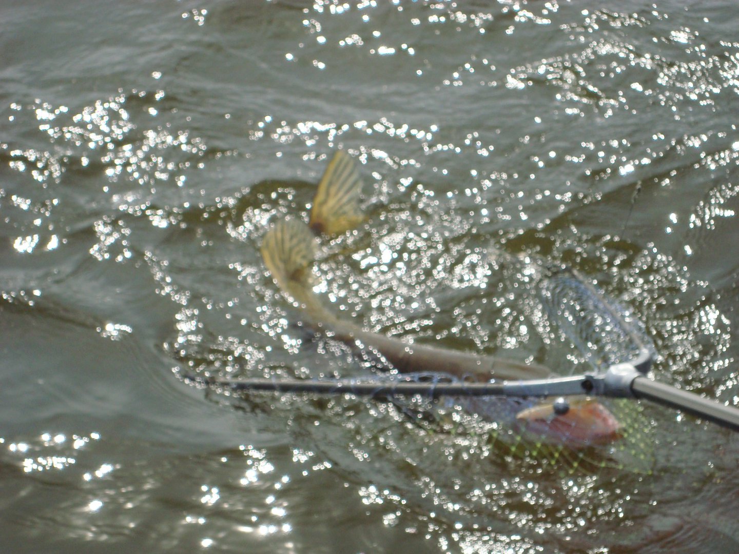 DSC01533.JPG