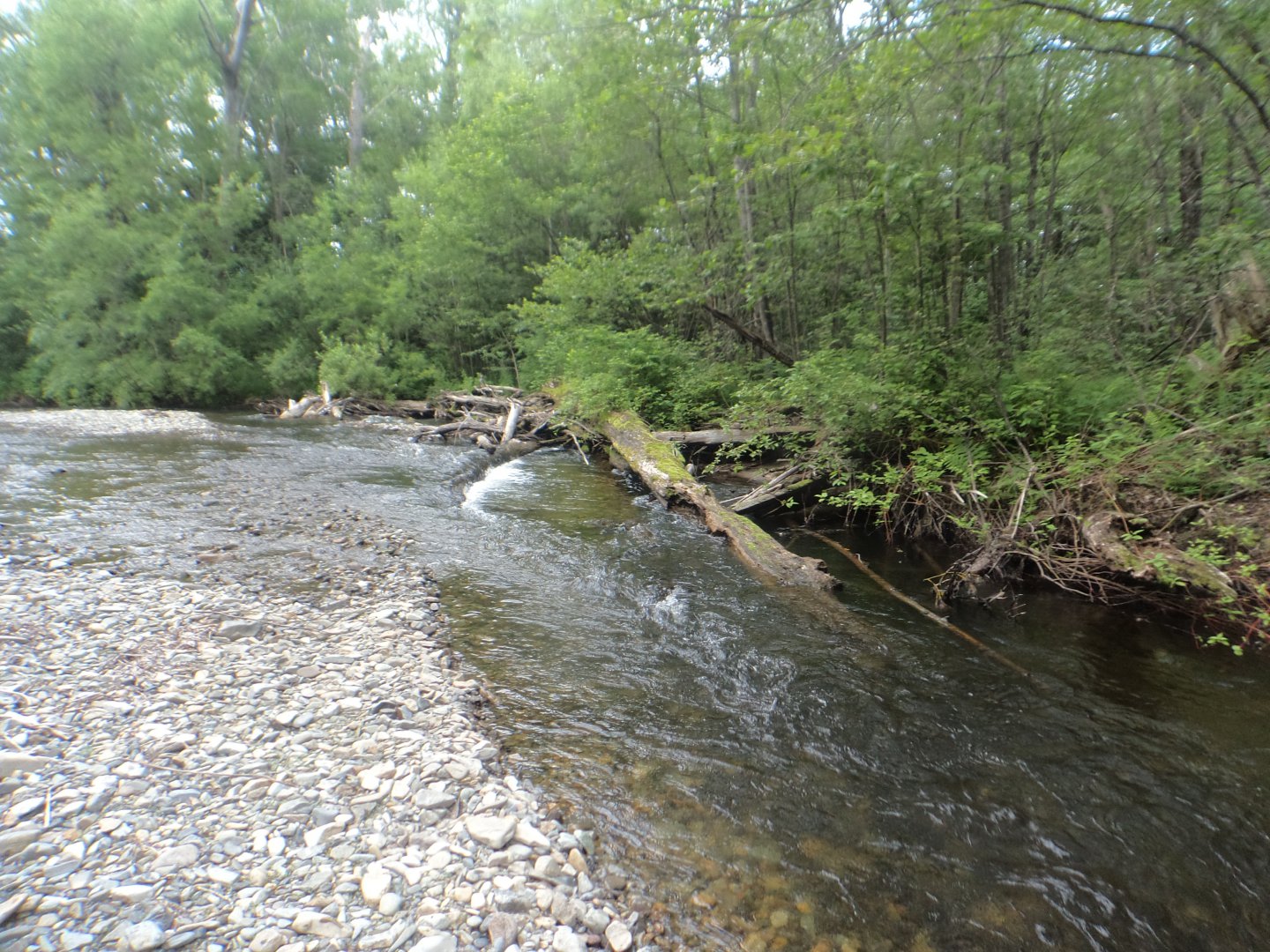 DSC01543.JPG