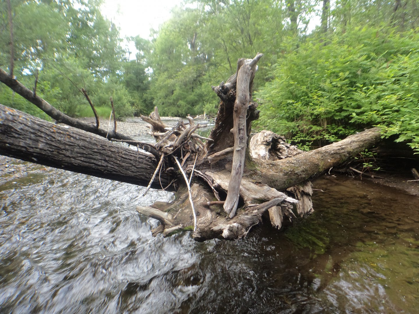 DSC01544.JPG