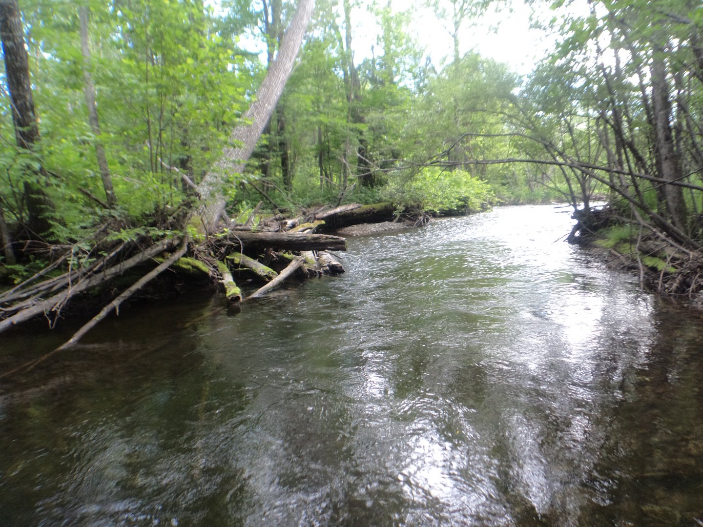 DSC01545.JPG