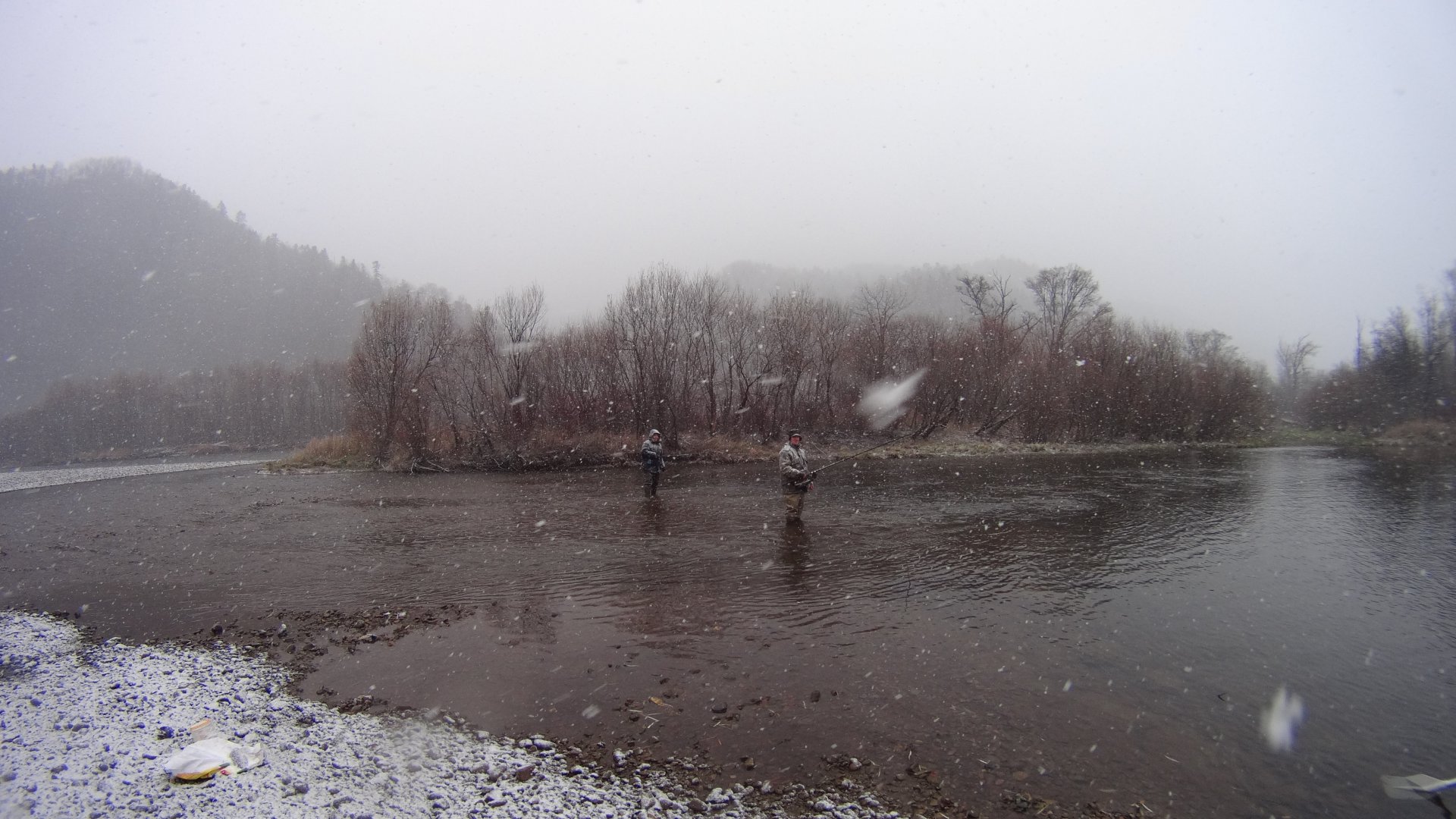 DSC01547.JPG