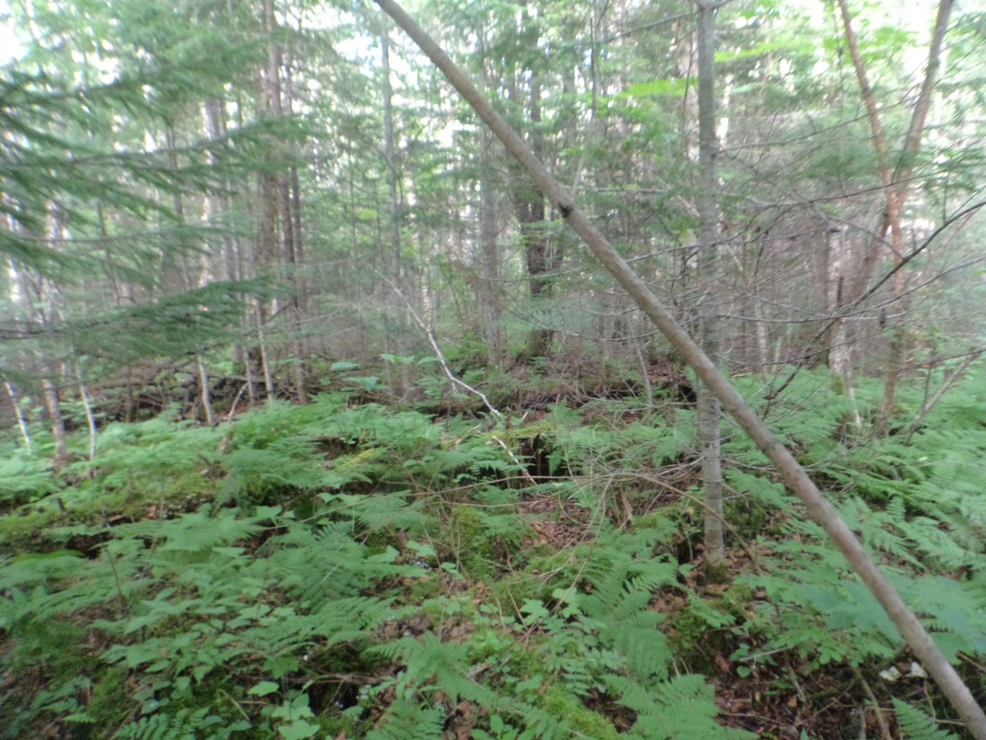 DSC01556.JPG
