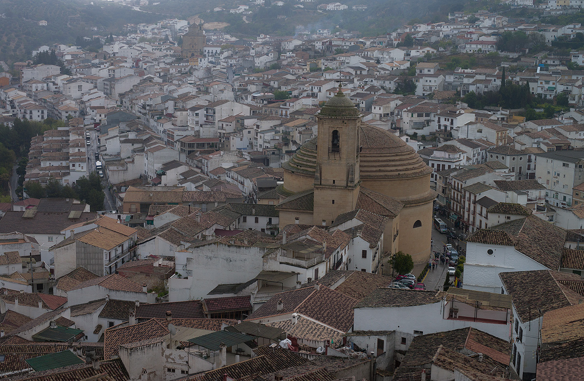 DSC01564.jpg