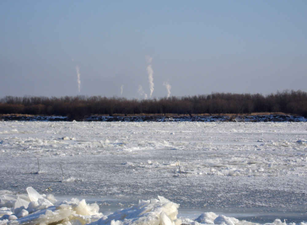 DSC01604-1.jpg