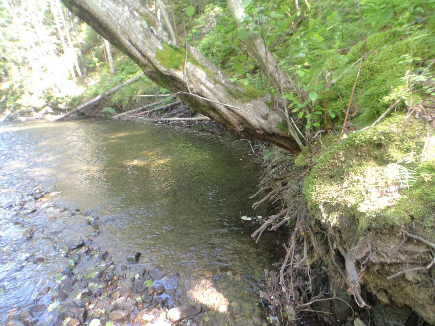 DSC01658.JPG