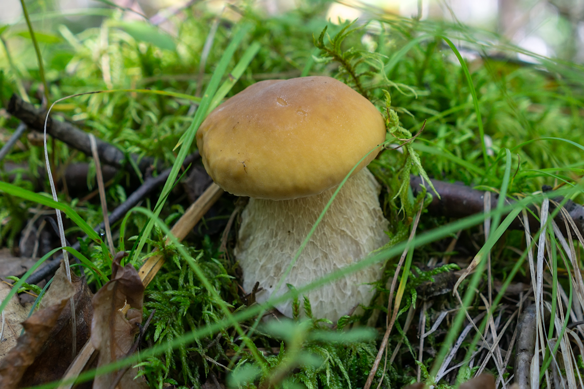 DSC01659.jpg