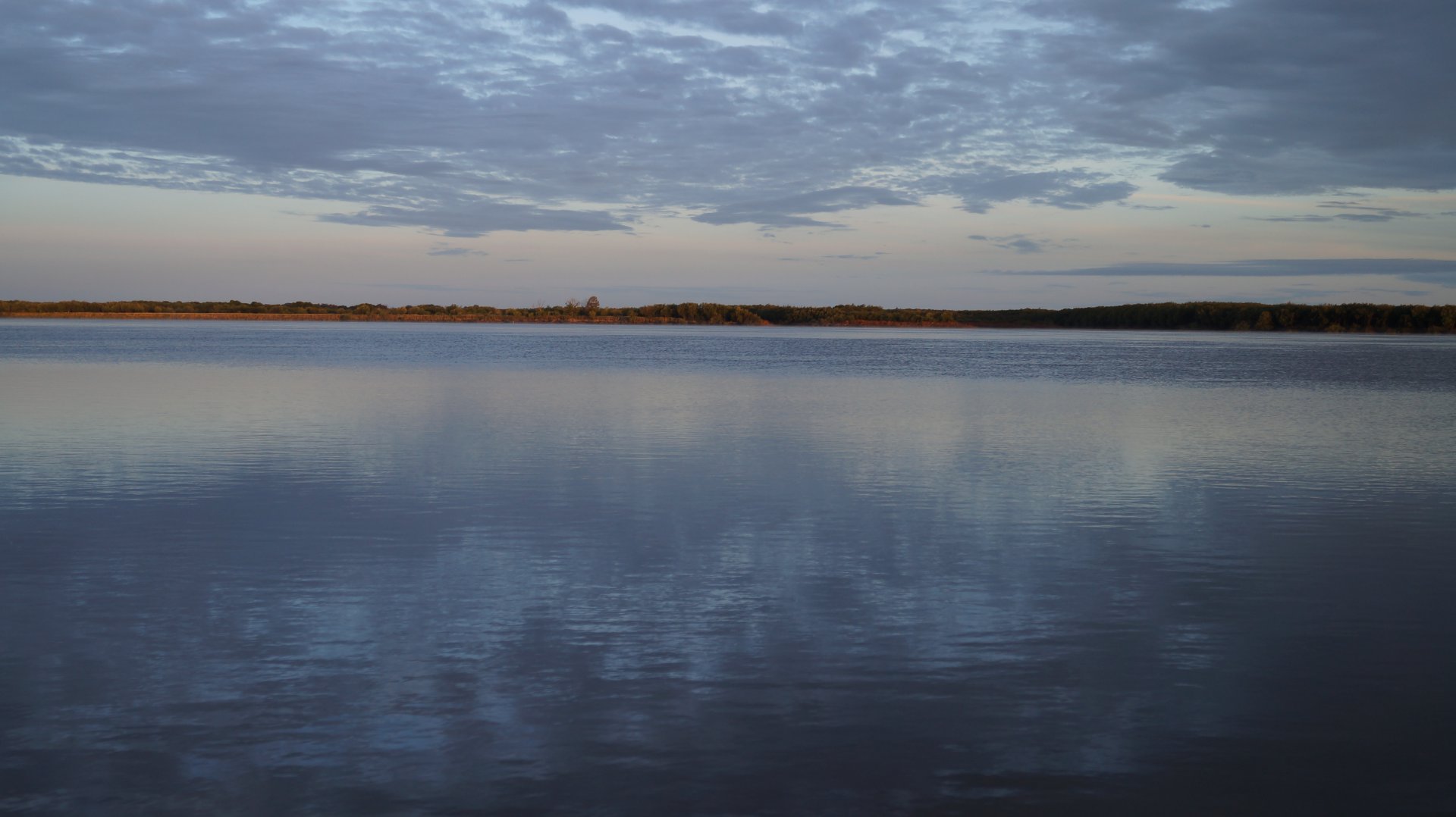 DSC01717.JPG