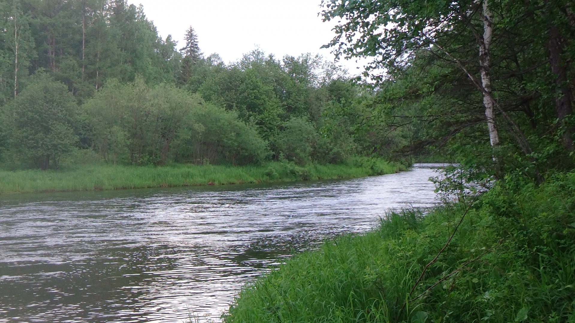 DSC01745.JPG
