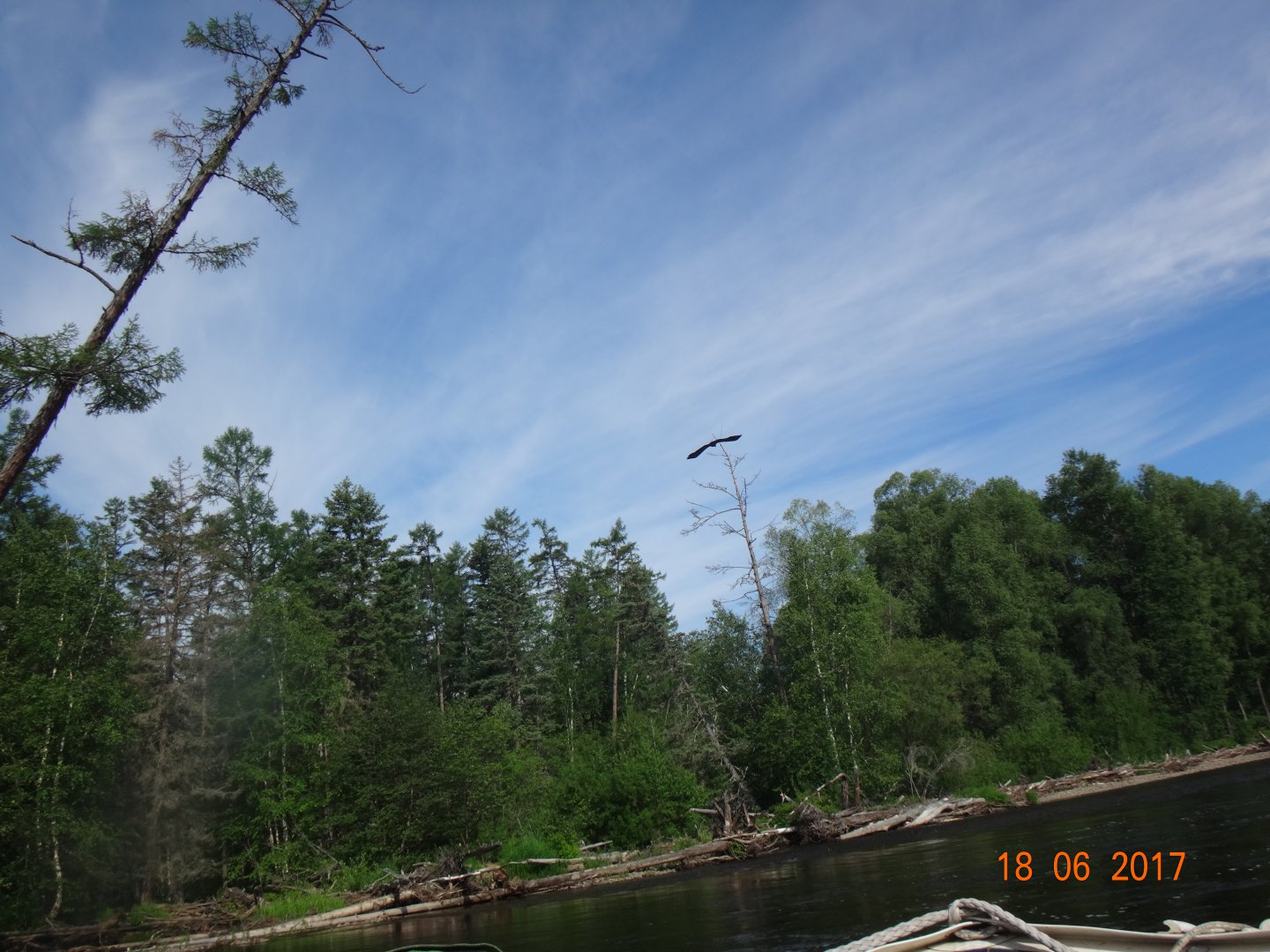 DSC01753.JPG