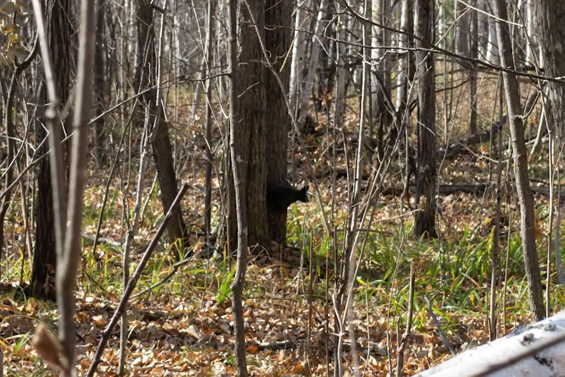 DSC01756.jpg