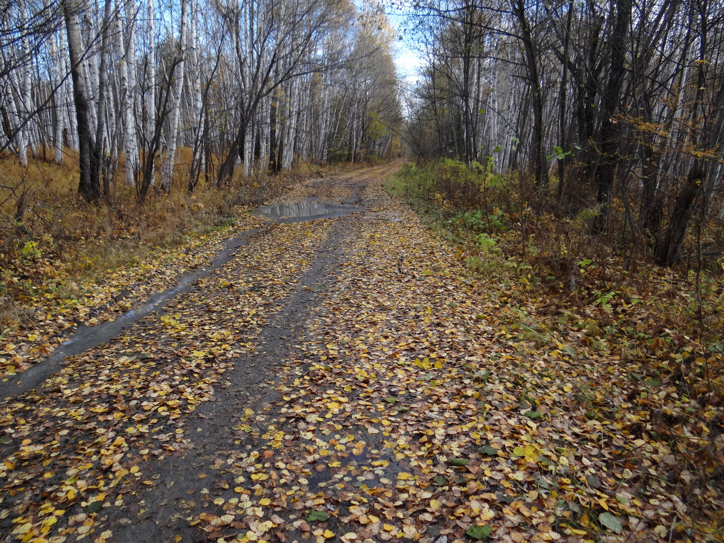DSC01799.JPG DSC01799.JPG